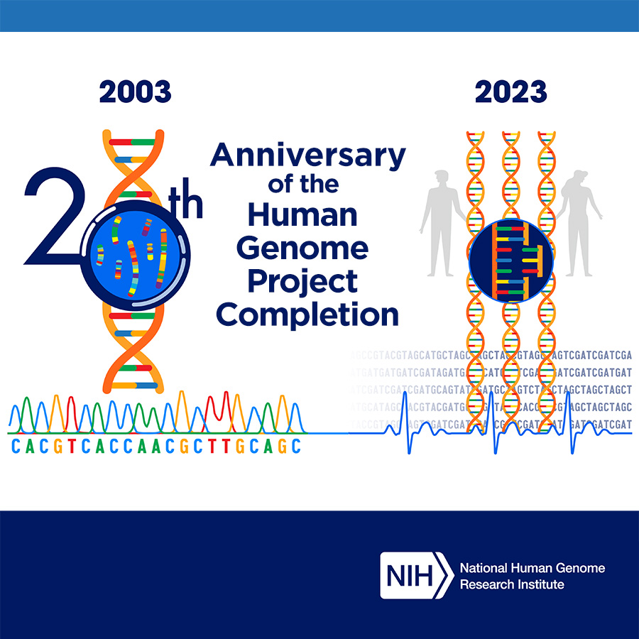 20th Anniversary of the Human Genome Project Completion. 2003 to 2023. Images of genes, DNA strands, and gene sequencing coding. Logo of the N I H National Human Genome Research Institute.