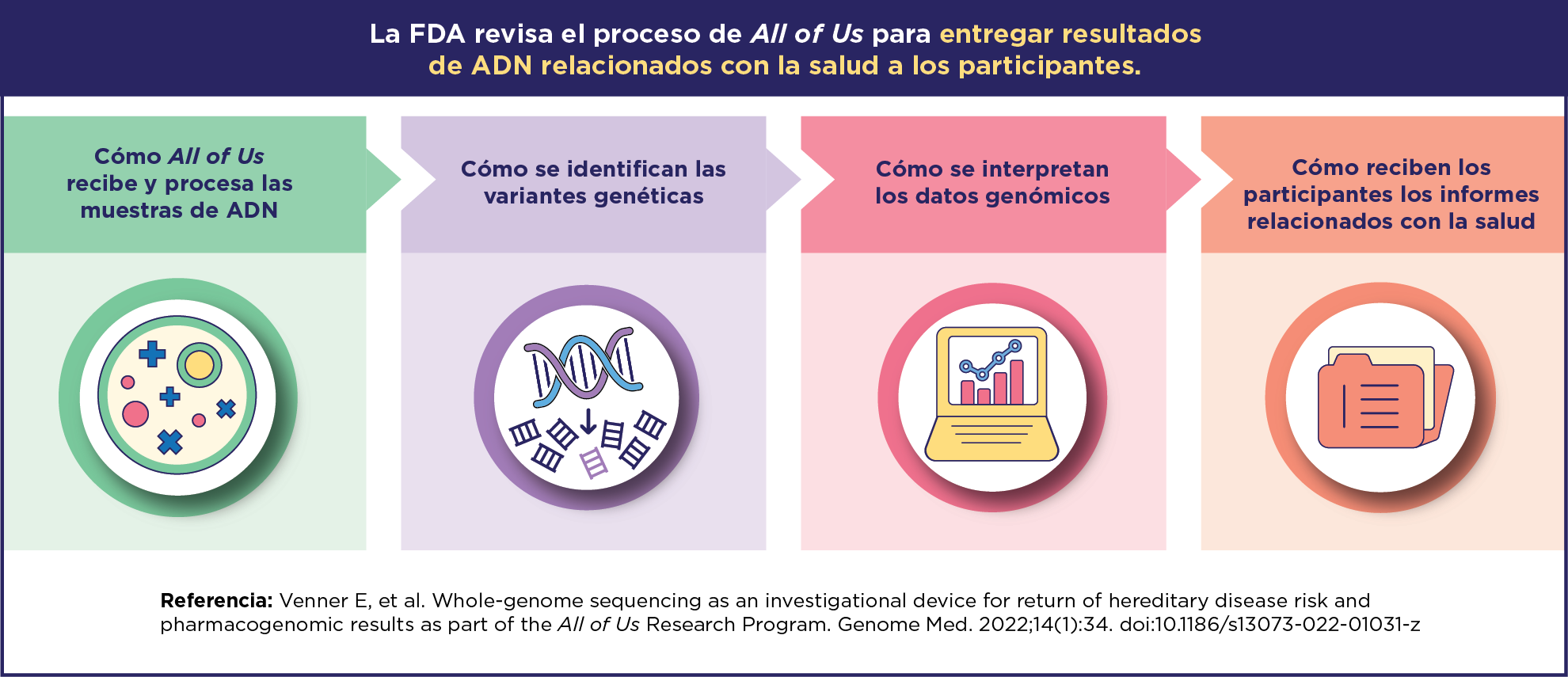 La FDA revisa y prueba el proceso de All of Us para entregar resultados de ADN relacionados con la salud a los participantes”. Proceso: 'Cómo All of Us recibe y procesa las muestras de ADN', 'Cómo se identifican las variantes genéticas', 'Cómo se interpretan los datos genómicos' y 'Cómo reciben los participantes los informes relacionados con la salud'. Referencia: Venner E. et al. Genome Med. 2022;14(1):34.